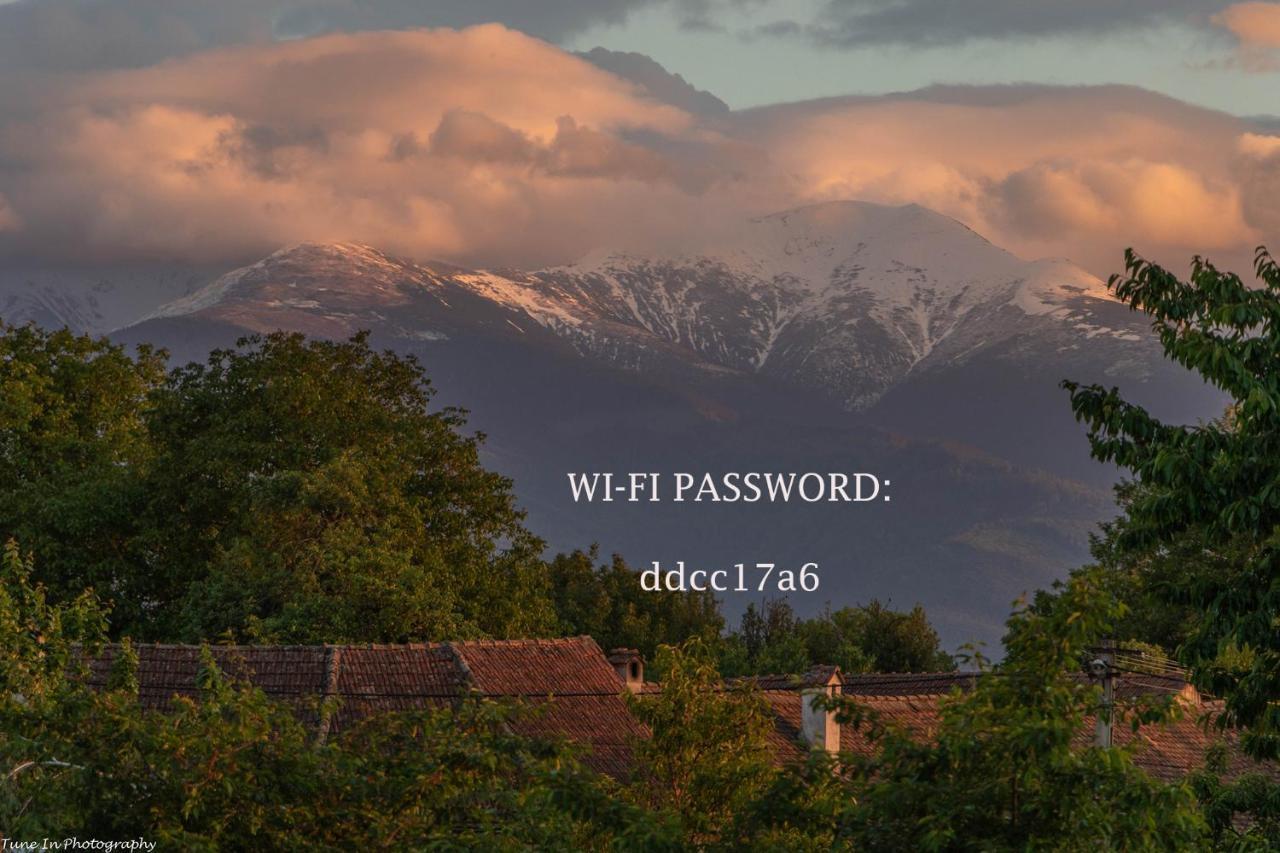 Vila Fagaras Cosy Flat Exteriér fotografie