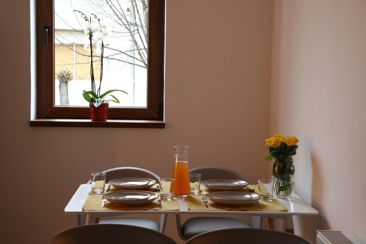 Vila Fagaras Cosy Flat Exteriér fotografie